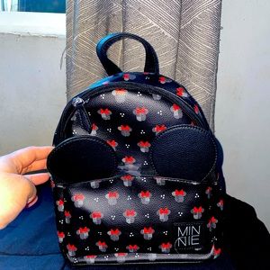 Disneyland bag! New